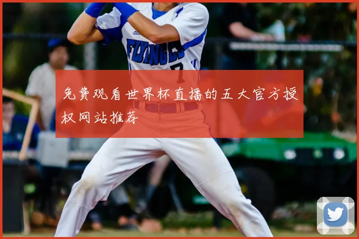 免费观看世界杯直播的五大官方授权网站推荐