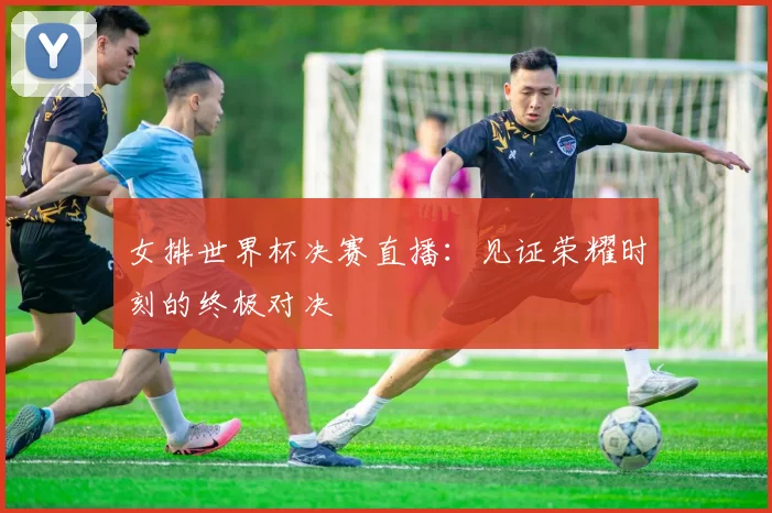 女排世界杯决赛直播：见证荣耀时刻的终极对决