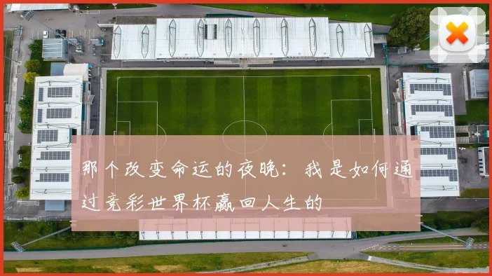 那个改变命运的夜晚：我是如何通过竞彩世界杯赢回人生的