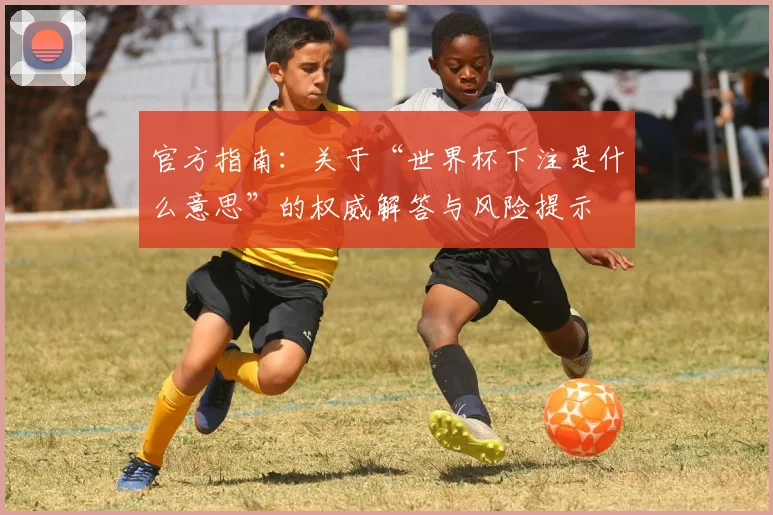 官方指南：关于“世界杯下注是什么意思”的权威解答与风险提示