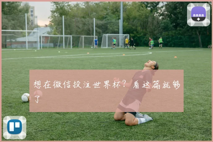 想在微信投注世界杯？看这篇就够了