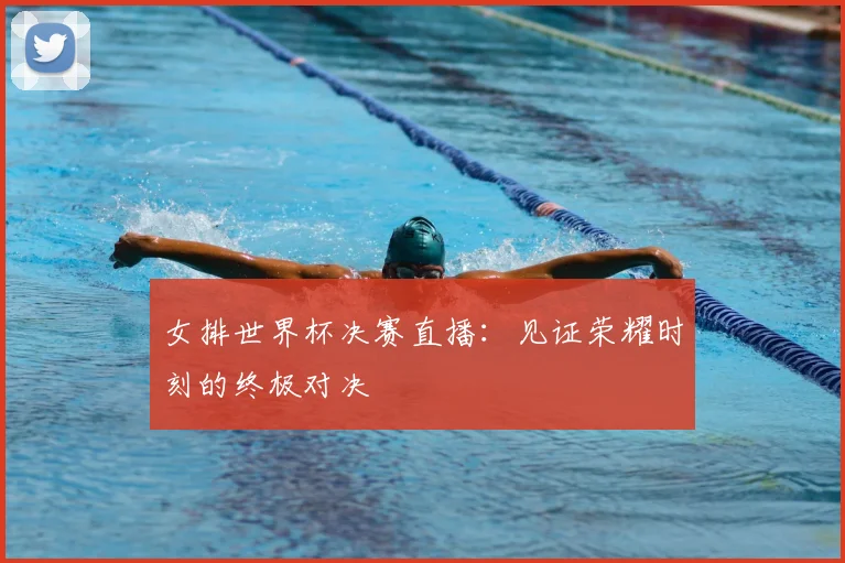 女排世界杯决赛直播：见证荣耀时刻的终极对决