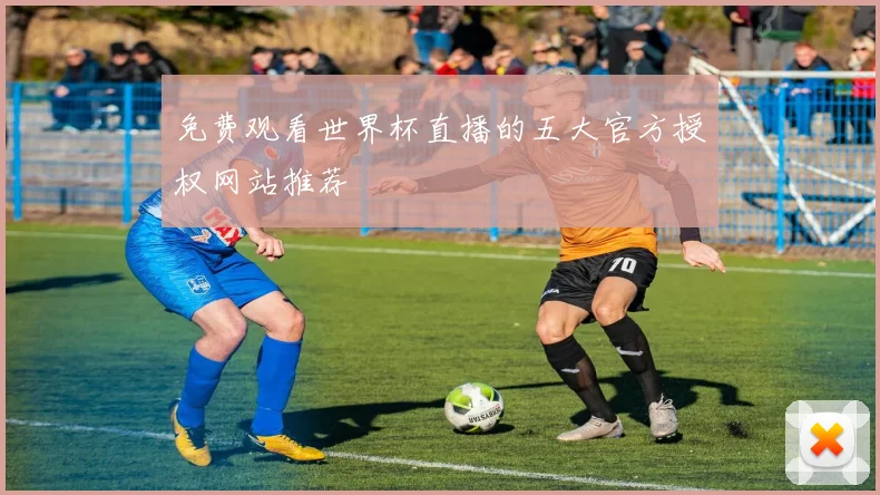 免费观看世界杯直播的五大官方授权网站推荐
