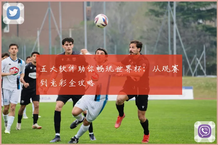 五大软件助你畅玩世界杯：从观赛到竞彩全攻略
